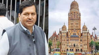 महापौर पदाचा वाद... भाजपमध्येच मतभेद? माजी खासदाराने थेट लोढांनाच फटकारलं, नेमकं प्रकरण काय?