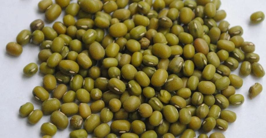 चिकनव्यतिरिक्त तुम्हाला मूग डाळ,सोयाबीन यासारख्या शाकाहारी पदार्थांमधूनही प्रोटीन मिळतात. (टीप- ही स्टोरी उपलब्ध सोअर्सवर आधारलेली आहे. त्यामुळे कोणताही निर्णय घेण्याआधी या क्षेत्रातील तज्ज्ञांचा सल्ला जरूर घ्या.)