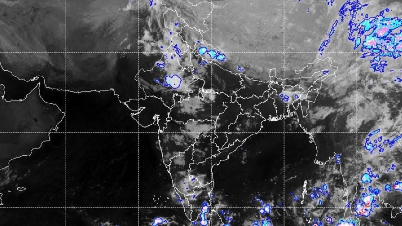 Maharashtra Weather Update : मोठा अलर्ट जारी, थंडीच्या लाटेचा इशारा, राज्यात तब्बल…
