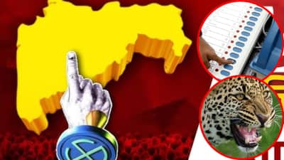 Maharashtra Nagar Parishad Elections 2025 : बिबट्याची दहशत, ईव्हीएममध्ये गडबड...; राज्यात कुठे कुठे मतदानाला ब्रेक?