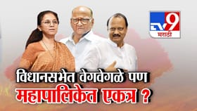 विधानसभेत विरोधात, महापालिका निवडणुकीत NCP चे दोन्ही गट एकत्र येणार?.