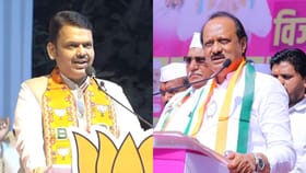 महायुतीतच सभांची स्पर्धा, सर्वाधिक सभा कुणाच्या? कोण ठरलं वरचढ?