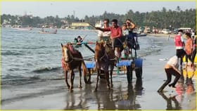 नवीन वर्षांच्या स्वागतासाठी मालवण मध्ये पर्यटकांची गर्दी.