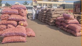 मंचर कृषी उत्पन्न बाजार समितीत कांद्याची आवक घटली.