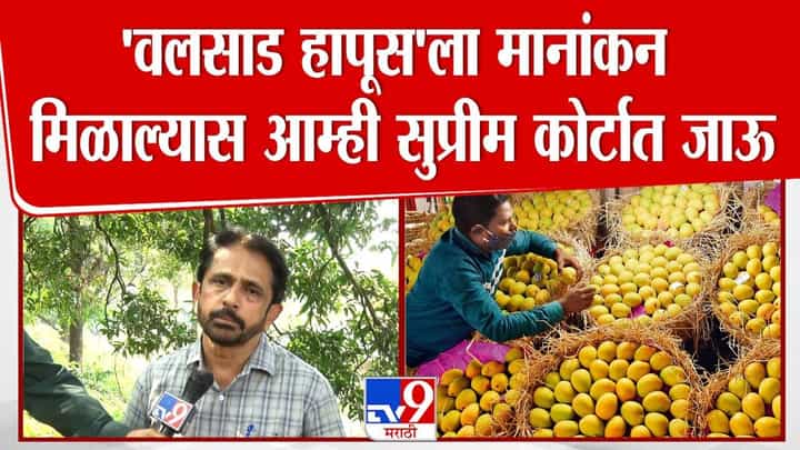 Battle for Alphonso: वलसाडच्या ‘हापूस’ नामांकनाला कोकणचा कडाडून विरोध थेट कायदेशीर लढ्याचा इशारा Battle for Alphonso: वलसाडच्या ‘हापूस’ नामांकनाला कोकणचा कडाडून विरोध थेट कायदेशीर लढ्याचा इशारा