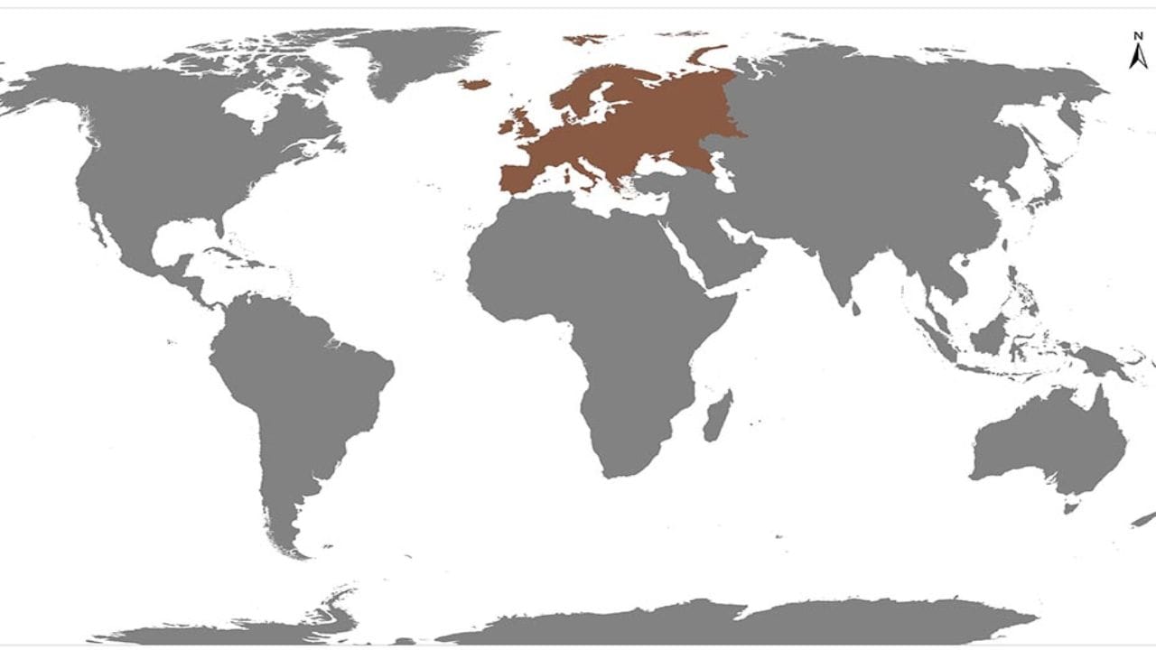 युरोपियन देशांच्या राजकारण : नकाशाशास्त्राचा आधुनिक विकास प्रामुख्याने युरोपियन देशांनी केला. युरोप उत्तर गोलार्धात असल्यामुळे, त्यांनी सोयीसाठी आणि स्वतःचे महत्त्व अधोरेखित करण्यासाठी उत्तर दिशा वर ठेवली.
