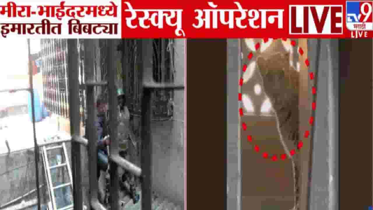 Mira Bhayandar Leopard : मीरा-भाईंदर हादरलं, इमारतीत शिरलेल्या बिबट्याला जेरबंद करण्यासाठी शर्थीचे प्रयत्न, बघा VIDEO
