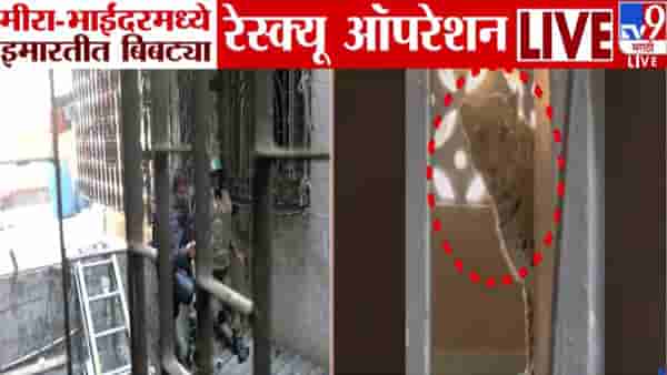 Mira Bhayandar Leopard : मीरा-भाईंदर हादरलं, इमारतीत शिरलेल्या बिबट्याला जेरबंद करण्यासाठी शर्थीचे प्रयत्न, बघा VIDEO