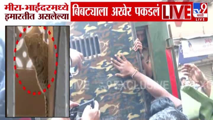 Mira Bhayandar Leopard : मीरा भाईंदरमध्ये 6 तासांचा थरार, लोकवस्तीत शिरलेला धिप्पाड बिबट्या अखेर जेरबंद, 7 जणांवर हल्ला अन्.. Mira Bhayandar Leopard : मीरा भाईंदरमध्ये 6 तासांचा थरार, लोकवस्तीत शिरलेला धिप्पाड बिबट्या अखेर जेरबंद, 7 जणांवर हल्ला अन्..
