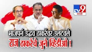Thackeray Alliance : ठाकरे बंधूंच्या युतीची शक्यता अन् ‘लाव रे तो व्हिडीओ’तून भाजपनं काढले राज ठाकरेंचे जुने VIDEO