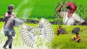 Crop Loan: आता जिल्हा बँकांनाही द्यावे लागणार मोफत ऑनलाईन पीक कर्ज.