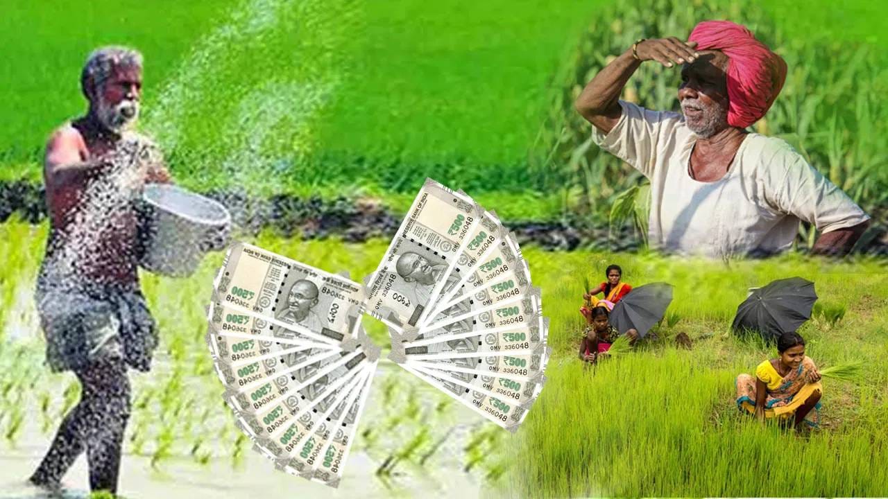 Crop Loan: मोठी आनंदवार्ता! आता जिल्हा बँकांनाही द्यावे लागणार मोफत ऑनलाईन पीक कर्ज Crop Loan: मोठी आनंदवार्ता! आता जिल्हा बँकांनाही द्यावे लागणार मोफत ऑनलाईन पीक कर्ज