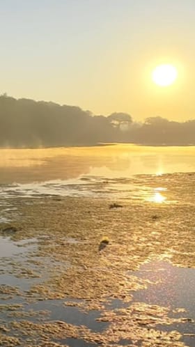 नाशिकच्या निफाड तालुक्याचा किमान तापमानाचा पारा घसरला.