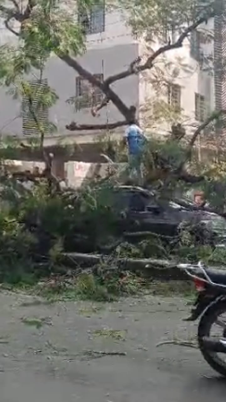 Nashik : चांडक सर्कल परिसरात गाडीवर झाड कोसळलं
