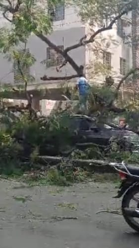 Nashik : चांडक सर्कल परिसरात गाडीवर झाड कोसळलं