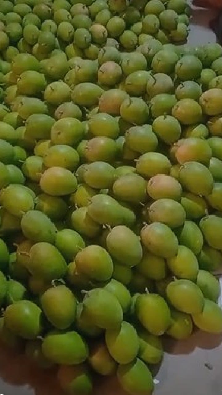 आला हो आला, कोकणचा राजा हापूस आंबा नवीमुंबईच्या मार्केटमध्ये दाखल