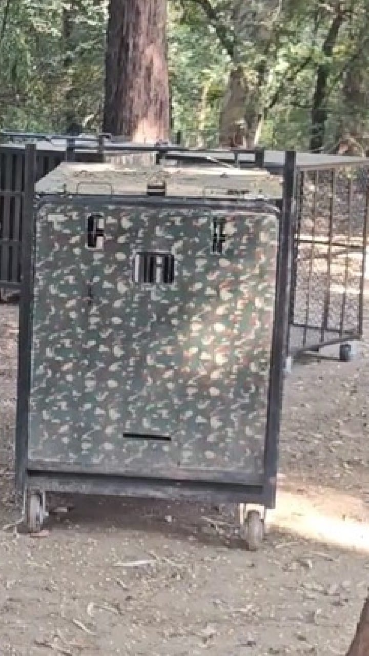 अहिल्यानगर जिल्ह्यात बिबट्यांना पकडण्यासाठी तब्बल दोनशे पिंजरे दाखल