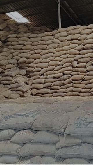 भरडाईचे पैसे न मिळाल्याने पालघर जिल्ह्यात लाखो भाताची पोती अडकली