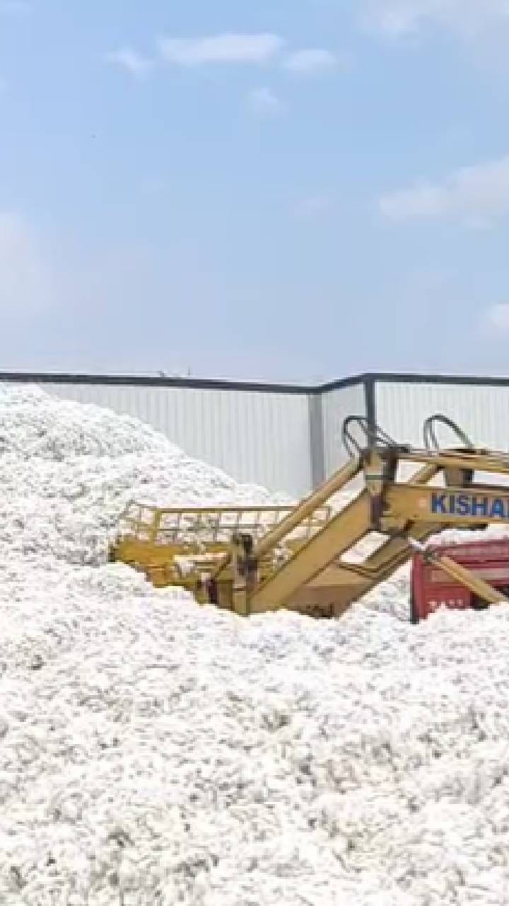 कापूस खरेदीची मर्यादा वाढवल्याने शेतकऱ्यांना दिलासा