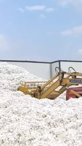 कापूस खरेदीची मर्यादा वाढवल्याने शेतकऱ्यांना दिलासा