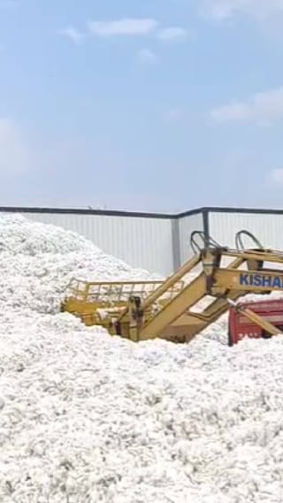 कापूस खरेदीची मर्यादा वाढवल्याने शेतकऱ्यांना दिलासा