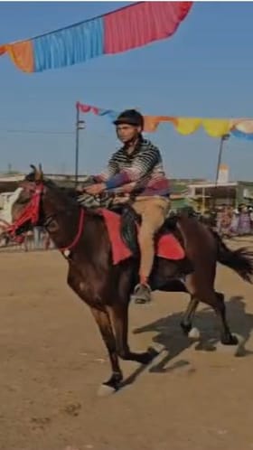 अश्वांची पंढरी असलेल्या सारंगखेड्याच्या घोडे बाजारात कोट्यवधींचे अश्व दाखल.