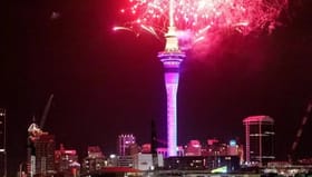 जगभरात 'या' देशांमध्ये नवीन वर्ष अशा पद्धतीने करतात साजरे.