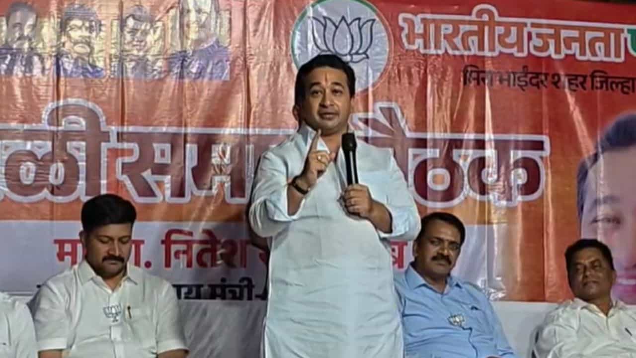 हिरव्या सापांना दूध पाजू नका, ते... मंत्री नितेश राणे यांचं वादग्रस्त विधान, नेमकं काय म्हणाले?