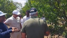 संत्रा उत्पादकांना मोठा फटका, बागांना बहरच आला नाही.