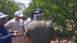 संत्रा उत्पादकांना मोठा फटका, बागांना बहरच आला नाही