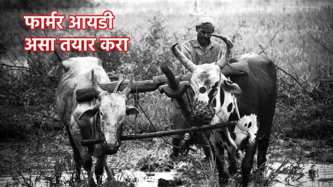 PM Kisan Yojana: फार्मर आयडी नसले तर 22 वा हप्ता विसरुन जा