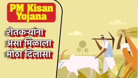 PM Kisan योजनेचा थेट लाभ, यंदा 19, 20 आणि 21 व्या हप्त्याने दिलासा
