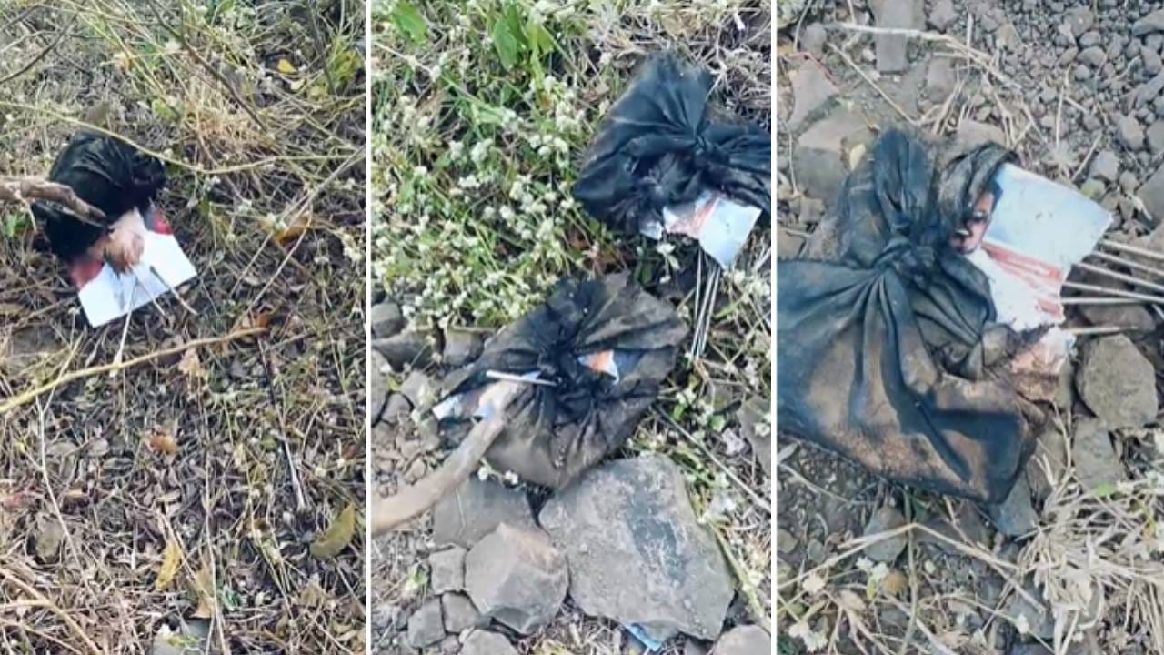 धक्कादायक ! प्रचाराच्या अंतिम टप्प्यात परंड्यात 'अंधश्रद्धे'चा प्रवेश; कोण होतं टार्गेट ? धक्कादायक ! प्रचाराच्या अंतिम टप्प्यात परंड्यात 'अंधश्रद्धे'चा प्रवेश; कोण होतं टार्गेट ?