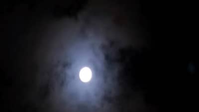 पौष अमावस्येला करा हे उपाय, घरात राहतील पूर्वजांचे आशीर्वाद