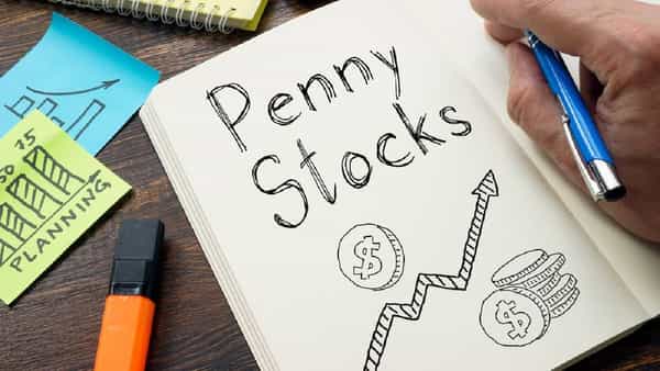 Penny Stock Bumper Return: या शेअरने गुंतवणूकदारांना गेल्या 12 वर्षांत मालामाल केले आहे. या काळात या शेअरने दमदार परतावा दिला आहे. या शेअरने या एका तपामध्ये 12,200 टक्क्यांचा परतावा दिला आहे. जर एखाद्याने त्यावेळी एक लाख रुपयांची गुंतवणूक केली असती तर आता त्याचे मूल्य 1.23 कोटी रुपये इतके झाले असते.