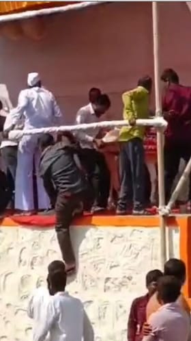 बैलगाडा शर्यतीत थेट स्टेजवरच चढली वासरं! व्हायरल व्हिडिओची धूम.
