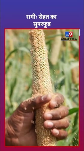 रागीचे हे जबरदस्त फायदे तुम्हाला माहिती आहेत का?