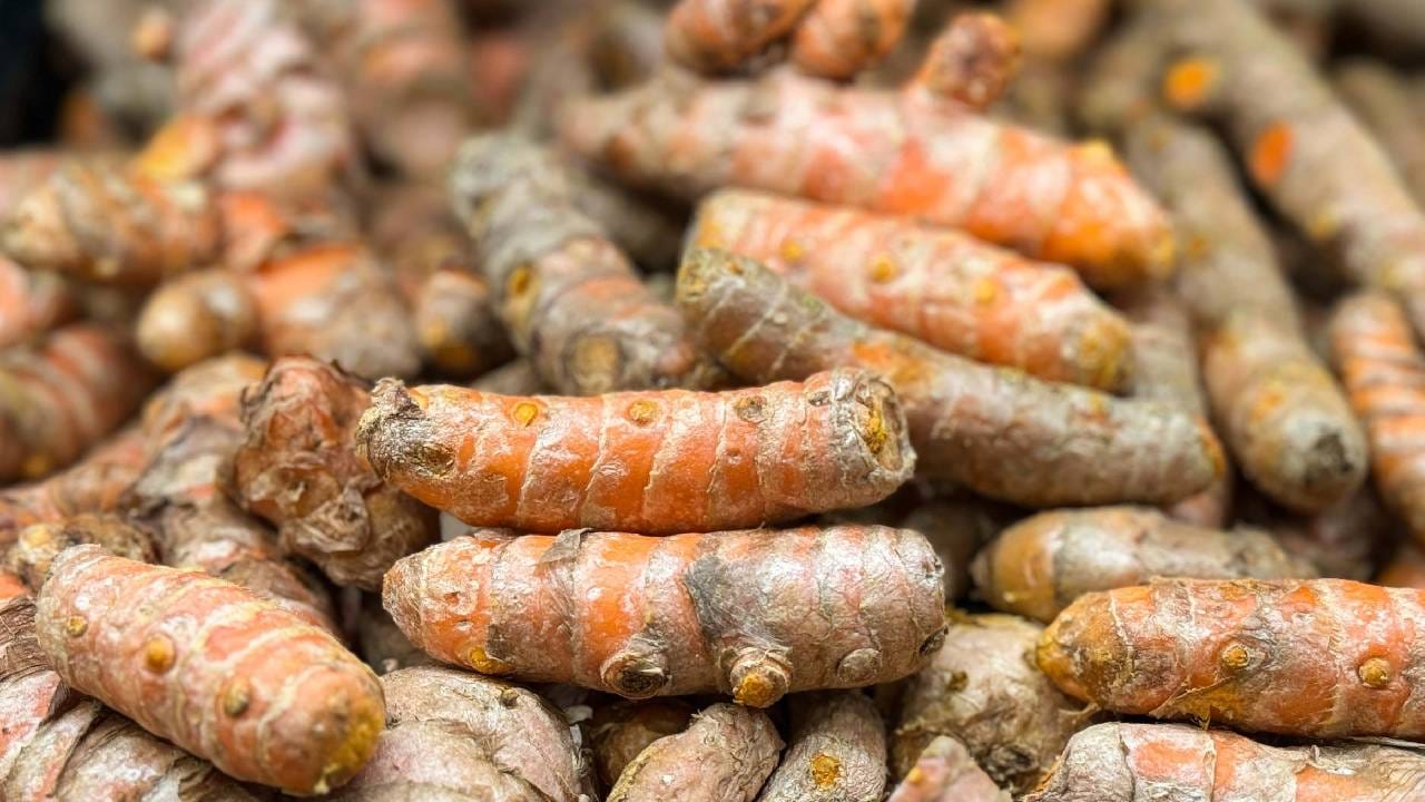 कच्च्या हळदीमध्ये नैसर्गिक बॅक्टेरियाविरोधी गुणधर्म असतो. जे शरीरातील हानिकारक बॅक्टेरिया कमी करण्यास मदत करतात. यामुळे कच्ची हळद पोटासाठी खूप जास्त फायदेशीर ठरते. 