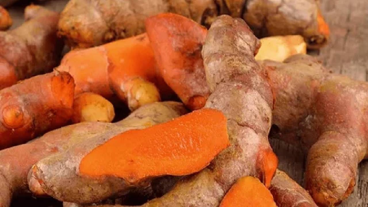 विशेष म्हणजे पोटाच्या सर्व समस्यांना उपाय कच्ची हळद आहे. कच्च्या हळदीचे सेवन तुम्ही केले तर पोटाच्या असंख्य समस्या दूर होण्यास मदत होते. कच्ची हळद आरोग्यासाठी फायदेशीर असते. 