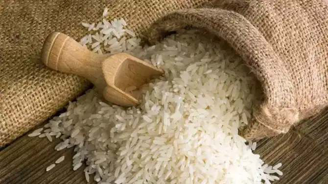 तांदळाला किड लागू नये म्हणून नेमकं काय का करावं? जाणून घ्या...