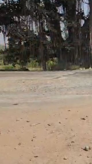 Video : मुंबई–गोवा महामार्गाचे काम रखडले; वाहनचालकांचे हाल