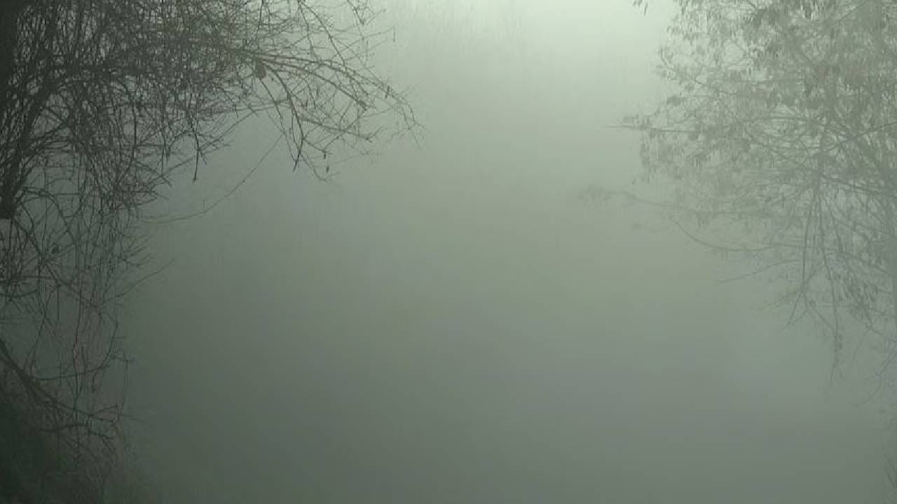 IMD weather update : राज्यावर संकट, थेट मोठा इशारा, तब्बल इतक्या जिल्ह्यांना अलर्ट…