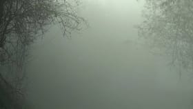 राज्यावर संकट, थेट मोठा इशारा, तब्बल इतक्या जिल्ह्यांना अलर्ट....