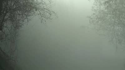 IMD weather update : राज्यावर संकट, थेट मोठा इशारा, तब्बल इतक्या जिल्ह्यांना अलर्ट...