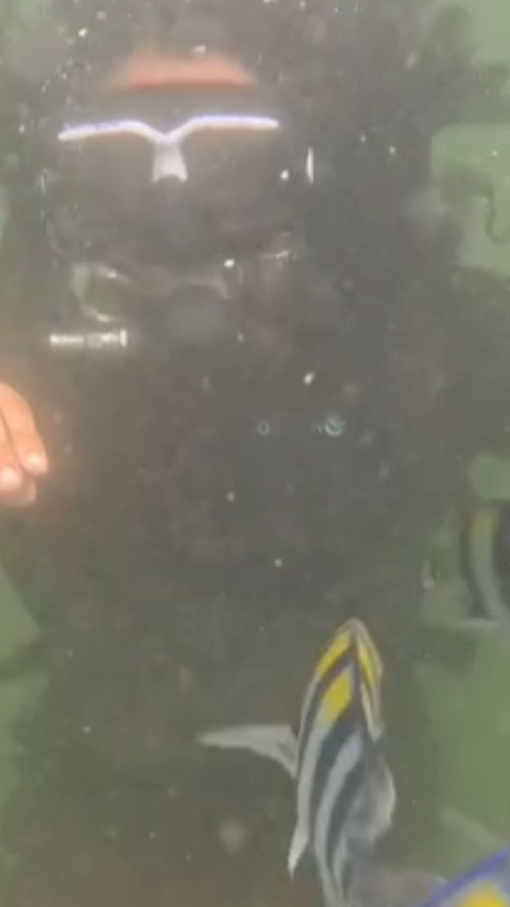 कोकणात पर्यटनाला सुरुवात, स्कुबा डायविंगचा थ्रिलिंग अनुभव