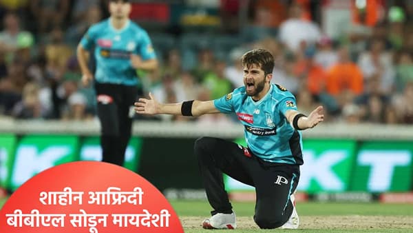शाहीन आफ्रिदीसोबत बिग बॅश लीगमध्ये काय झालं? पीसीबीने तडकाफडकी मायदेशी बोलवलं