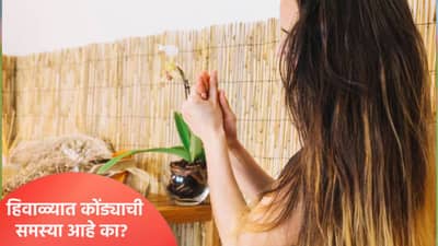 फक्त 10 रुपयांत मिळवा अँटी डँड्रफ केस, घरी शाम्पू बनवण्याची जाणून घ्या ही सोपी पद्धत