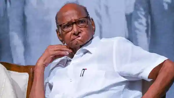 मोठी बातमी ! शरद पवारांच्या राष्ट्रवादीत खळबळ, आमदाराचं घर फुटलं, मुलाने केला भाजपमध्ये प्रवेश