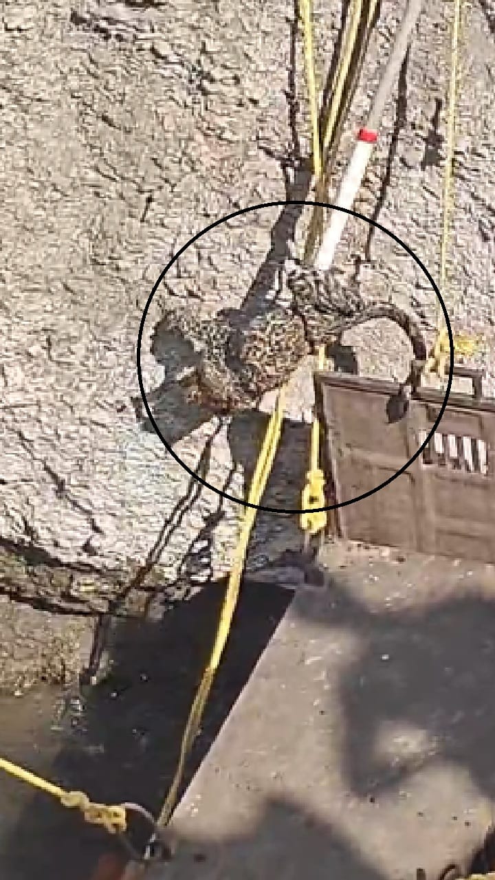 Shirur : विहिरीत पडलेल्या बिबट्याची सुटका