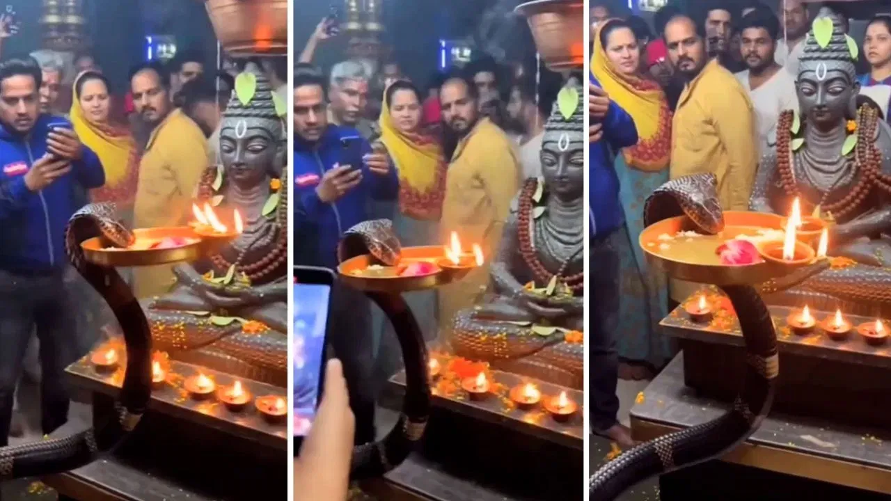 Viral Video: शिव मंदिरात सापाने केली आरती? व्हिडीओ पाहून तुम्हीही थक्क व्हाल